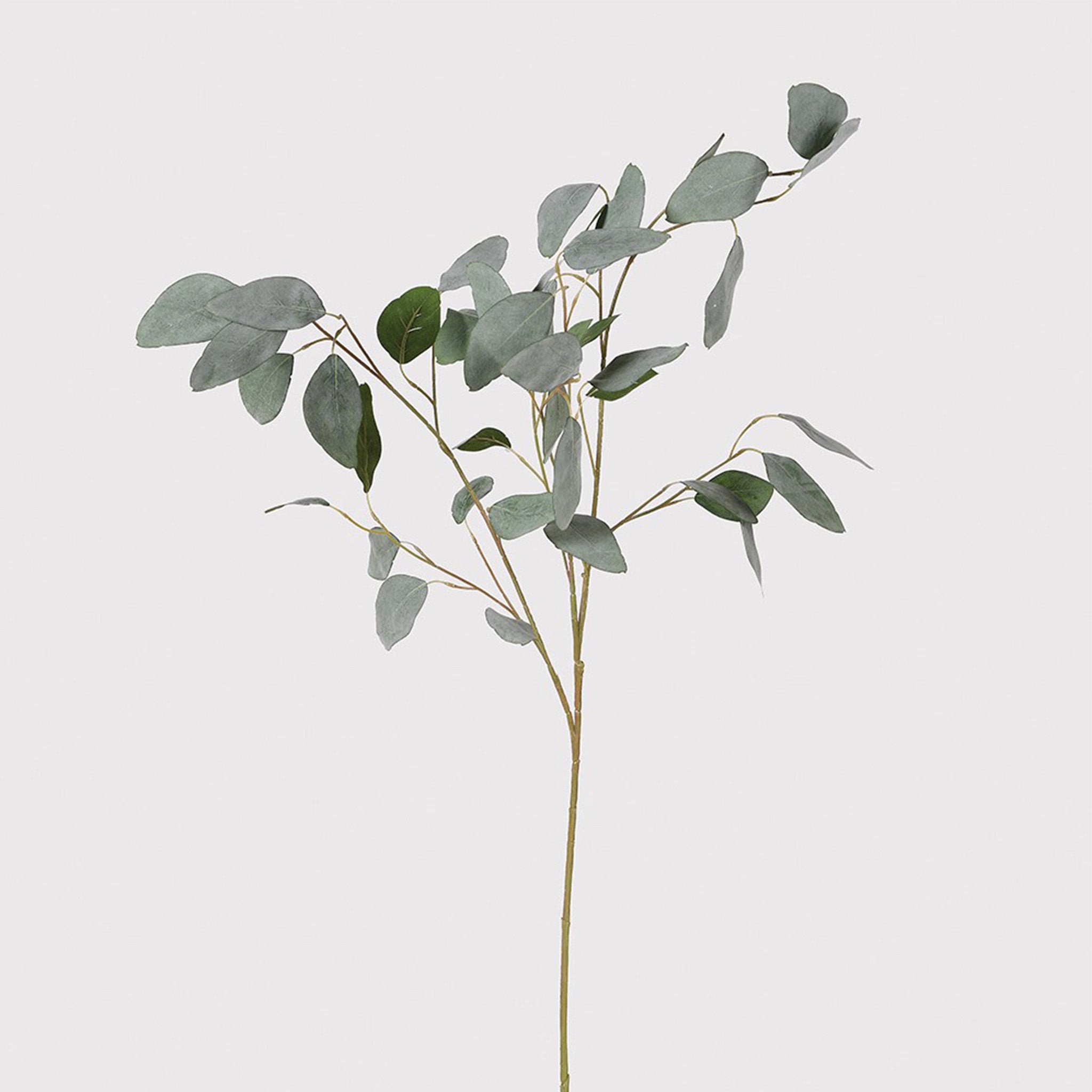 Realistic muted green Silver Dollar Eucalyptus stems, sold as a pack of 6. Dimensions: H:840 mm Delivery: 7-10 working days